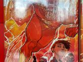 Dc Komiksai - Comics - Flash - nuotraukos Nr. 3