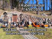 Aeratoriu skarifikatoriaus nuoma, šakų smulkintuva - nuotraukos Nr. 18