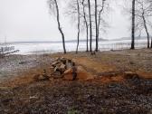 Malkos skaldytos ir kaladem. Aplinkos tvarkymas. - nuotraukos Nr. 17