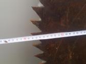 Pjūklas 77cm skersmens medienai malkom - nuotraukos Nr. 2