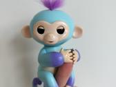 Fingerlings piršto beždžionytė