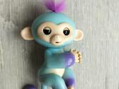 Fingerlings piršto beždžionytė - nuotraukos Nr. 2
