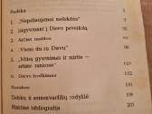 Melstis ir mylėti - nuotraukos Nr. 3