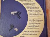 Vidurnaktis - nuotraukos Nr. 4