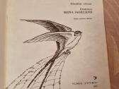 Voro tinklas - nuotraukos Nr. 2