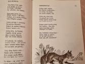 Voro tinklas - nuotraukos Nr. 3