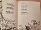 Voro tinklas - nuotraukos Nr. 4