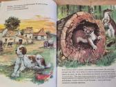 Zoologija paveikslėliuose - nuotraukos Nr. 3