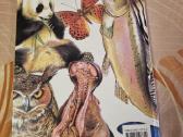 Zoologija paveikslėliuose - nuotraukos Nr. 6