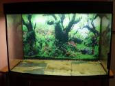 180 l akvariumas su spintele.