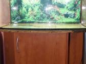 180 l akvariumas su spintele. - nuotraukos Nr. 2