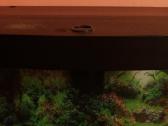 180 l akvariumas su spintele. - nuotraukos Nr. 4
