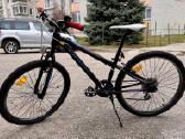 Orbea Mx24 Dirt