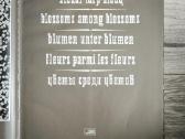 Rimantas Dichavičius "Žiedai tarp žiedų" - nuotraukos Nr. 3