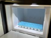 Adria Matrix ir Coral XL Premium kemperių nuoma - nuotraukos Nr. 11