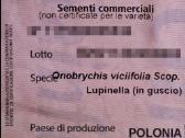 Sėklos esparcetas Akcija facelija