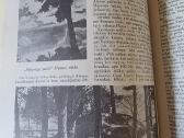 1989 m.br.kviklio enciklopedijos "Mūsų Lietuva" - nuotraukos Nr. 7