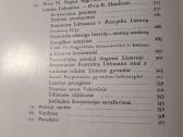 Vlado Nagevičiaus gyvenimo ir darbų apžvalga. 1962 - nuotraukos Nr. 9