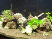 240 l tūrio akvariumas su priedais