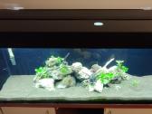 240 l tūrio akvariumas su priedais - nuotraukos Nr. 2