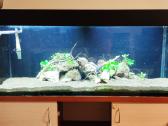 240 l tūrio akvariumas su priedais - nuotraukos Nr. 3