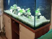 240 l tūrio akvariumas su priedais - nuotraukos Nr. 4