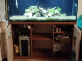 240 l tūrio akvariumas su priedais - nuotraukos Nr. 6