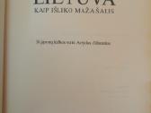 Sachito Natanaka Lietuva kaip išliko maža šalis - nuotraukos Nr. 4