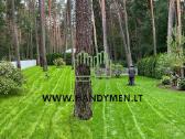 Žolės pjovimas, sklypų ir teritorijų tvarkymas - nuotraukos Nr. 5