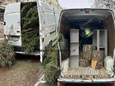 Aplinkos priežiūra ir teritorijų tvarkymas - nuotraukos Nr. 15