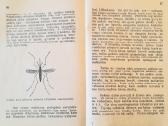 Senos knygos 1928-1930m. - nuotraukos Nr. 5