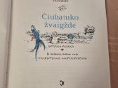 Čiubatuko žvaigždė - nuotraukos Nr. 2