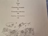 Čiubatuko žvaigždė - nuotraukos Nr. 4