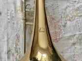 Bosinis trombonas - nuotraukos Nr. 8