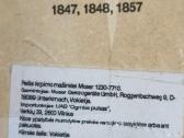 Antgalis Mozer kirpim m - nuotraukos Nr. 2