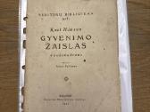 Knut Hamsun ,Gyvenimo žaislas 1922