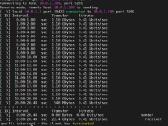 2.5 Gbe mini pcie tinklo adapteris - nuotraukos Nr. 9