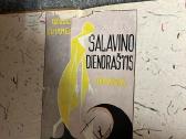 Salavino dienoraštisgeorges Duhamel