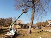 Vejos atnaujinimas įrengimas žolės pjovimas - nuotraukos Nr. 11