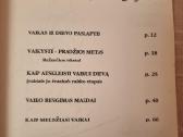 Vaikų maldingumo ugdymas - nuotraukos Nr. 3