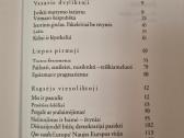 Nebyli siena - nuotraukos Nr. 3