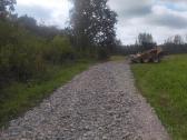 Mini ekskavatoriaus ir Bobcat darbai - nuotraukos Nr. 16