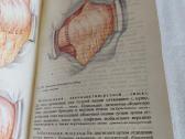 Оперативная хирургия детского возраста - nuotraukos Nr. 6