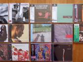 Siulau japonu CD. - nuotraukos Nr. 7