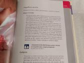 Patarimai žaliems tėvams - nuotraukos Nr. 3