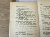 Mano apysakos 1928 m. - nuotraukos Nr. 5