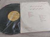 Vinilinės ir lanksčiosios plokštelės - nuotraukos Nr. 2