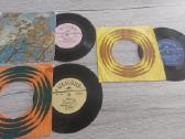 Vinilinės ir lanksčiosios plokštelės - nuotraukos Nr. 16
