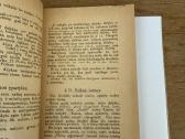 Kazys Bizauskas ,Literatūros teorija “ 1922 m - nuotraukos Nr. 3