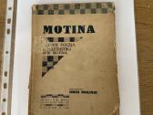 Motina(lietuvių poezija ir beletristika apie motin